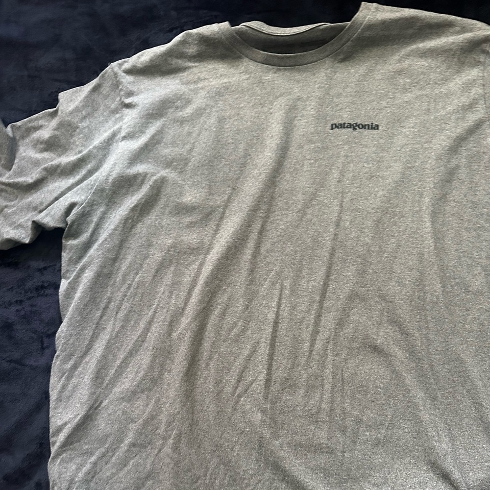 Patagonia shirt